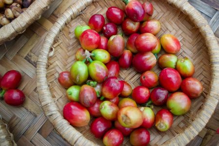 Double Adventure in Bali: ATV Tour and Coffee Luwak Flavor Exploration