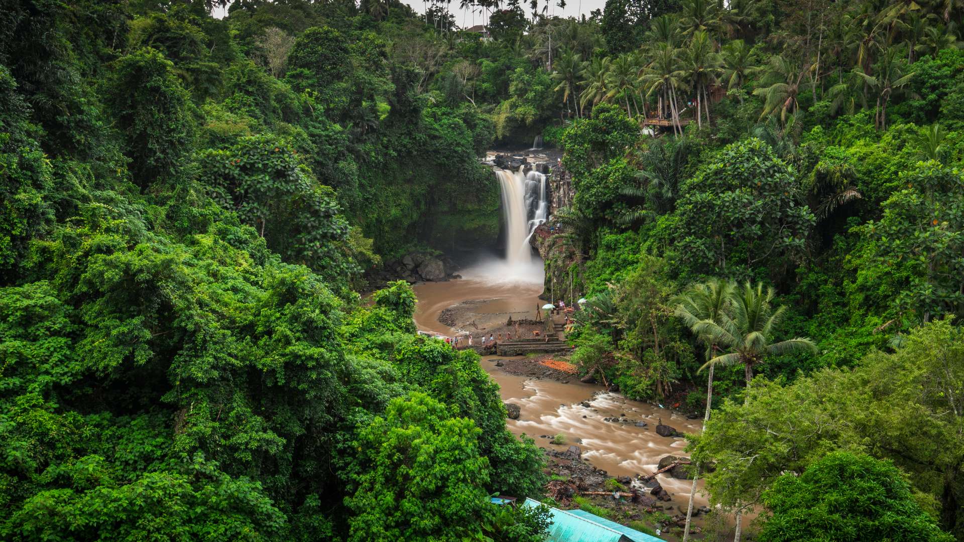 Majestic Ubud Adventure Tour