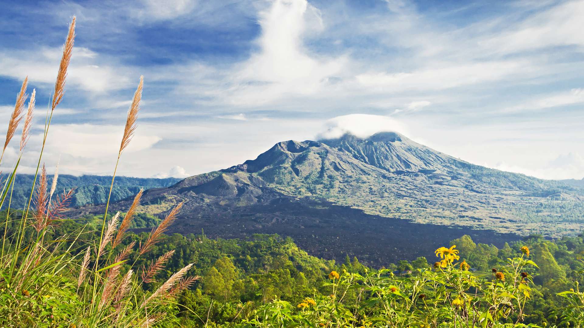 Majestic Ubud Adventure Tour