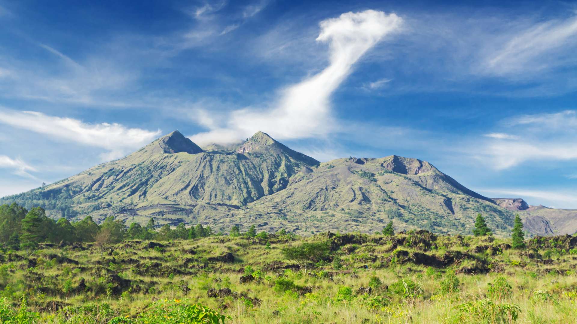 Majestic Ubud Adventure Tour