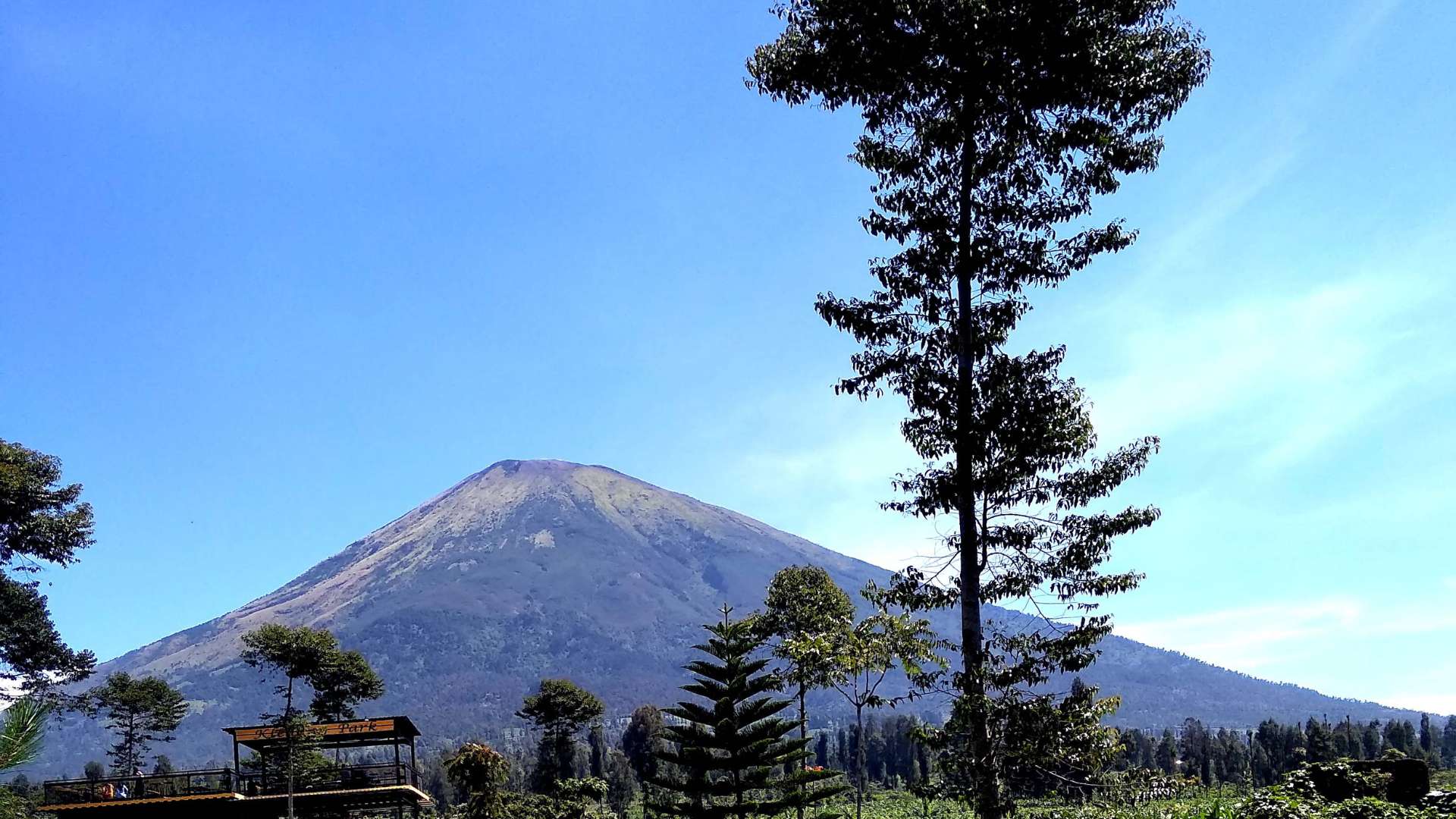 Majestic Ubud Adventure Tour